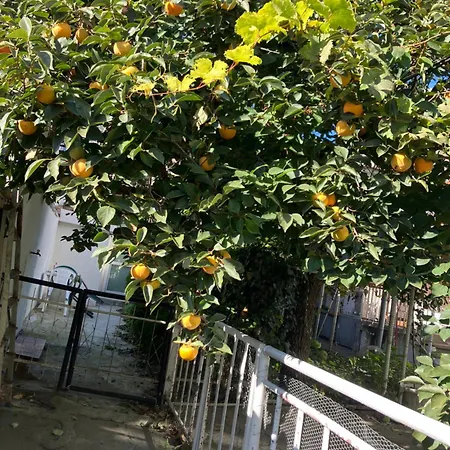 Rayskata Yabalka Vakantiehuis Varna