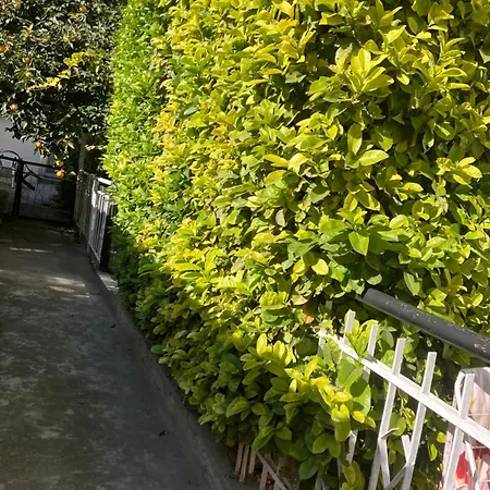 Vakantiehuis Rayskata Yabalka