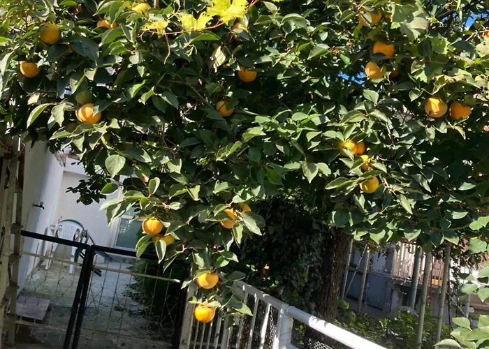 Rayskata Yabalka Tatil Evi Varna