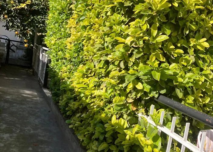 Dom wakacyjny Rayskata Yabalka